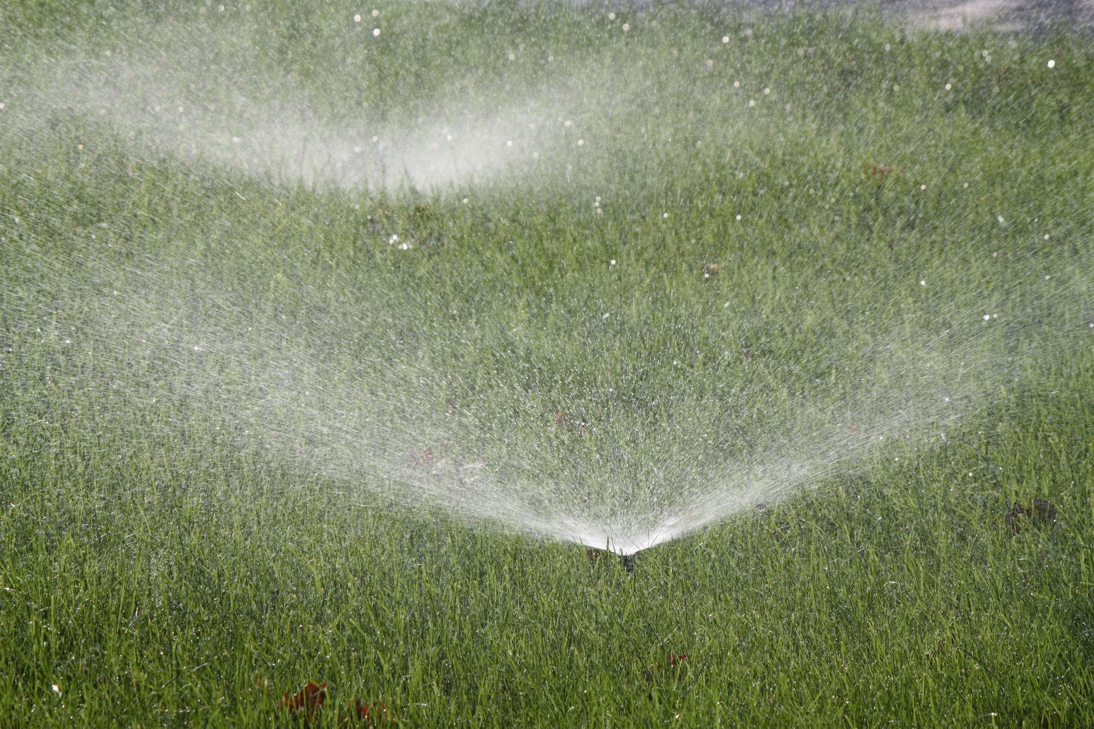 Парк Ленінського Комсомолу, фото 15